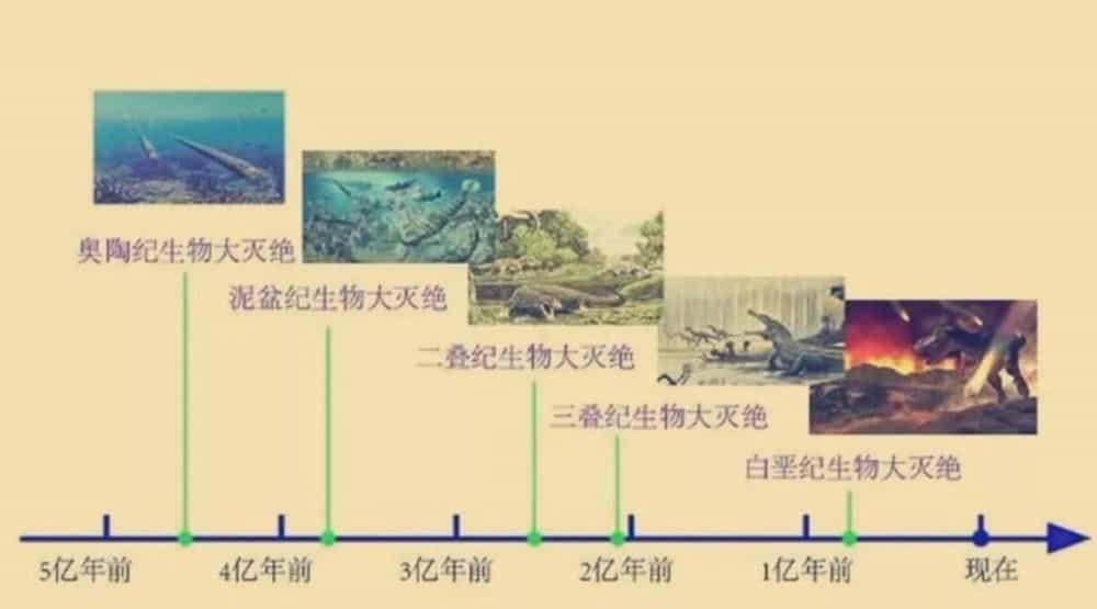 6500万年前恐龙灭绝了恐龙灭绝距今多少年