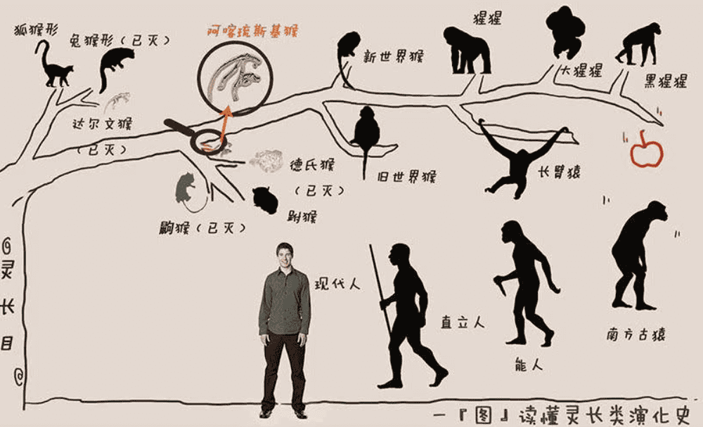 从50000年前的两个人到现在的79亿人,地球上共出现过多少人呢?