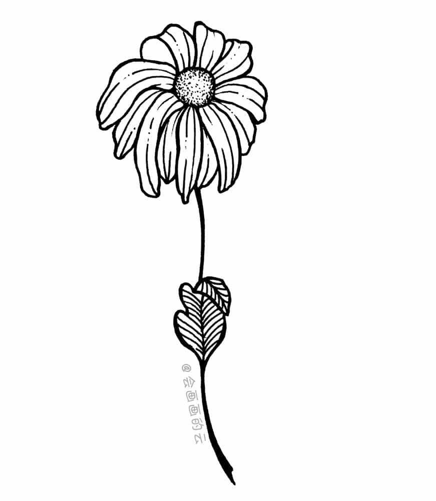 三款适合零基础画的小雏菊,简单又好看,而且一只中性笔就可以