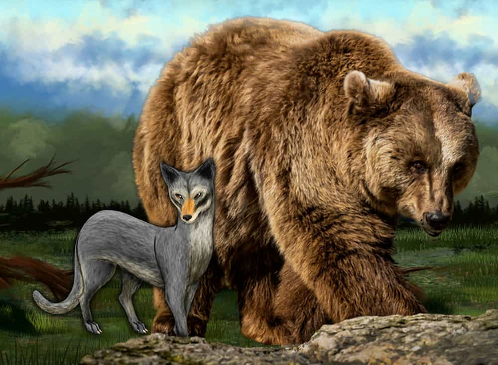 12种与祖先完全不同的动物哪一类动物是最古老的动物祖先