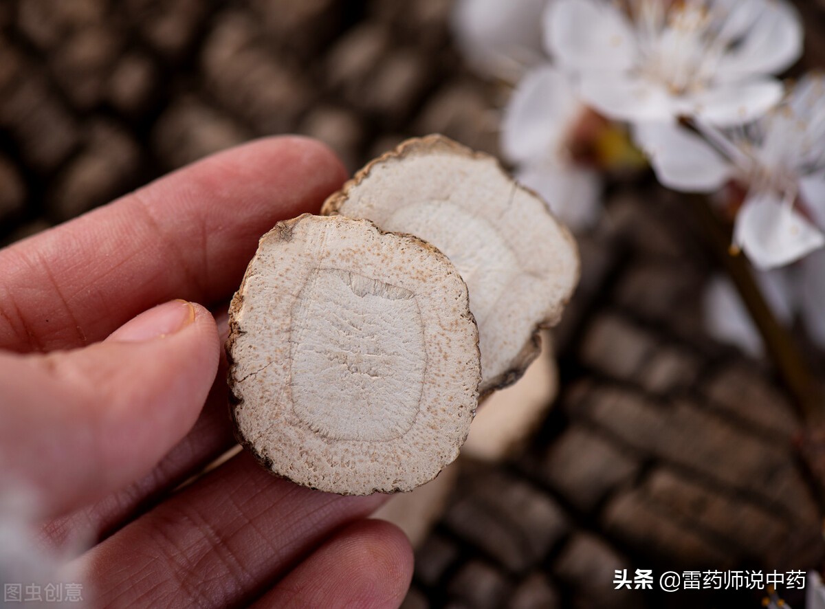 白芷和杭白芷的區別白芷和杭白芷的區別點