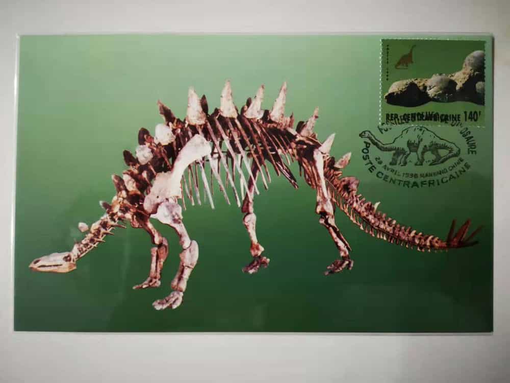 槽齿类爬行动物的祖先图片