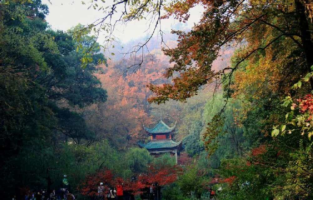 大家都知道长沙有一个非常出名的岳麓山,岳麓山的山下还有一个全国