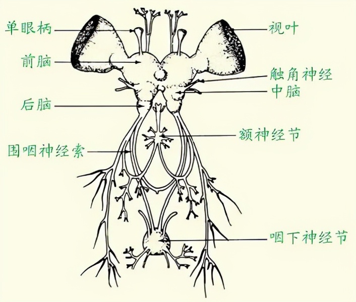 计算机及应用和计算机信息管理_最快的计算机_计算机安全使用和计算机病毒防治的知识