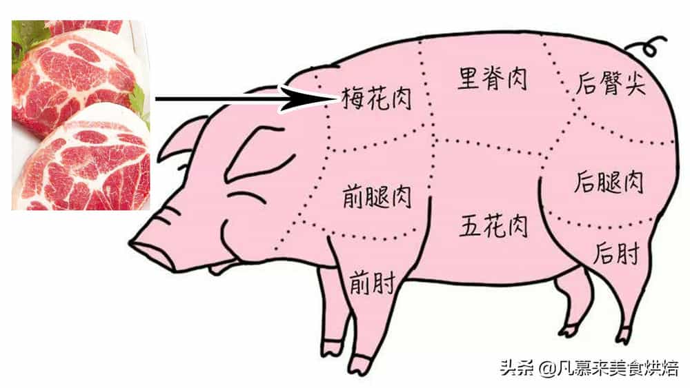 猪肉各部位分布图图片