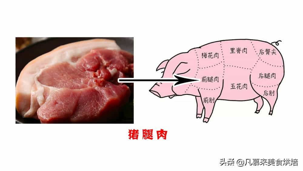 前槽肉是哪图解 部位图片