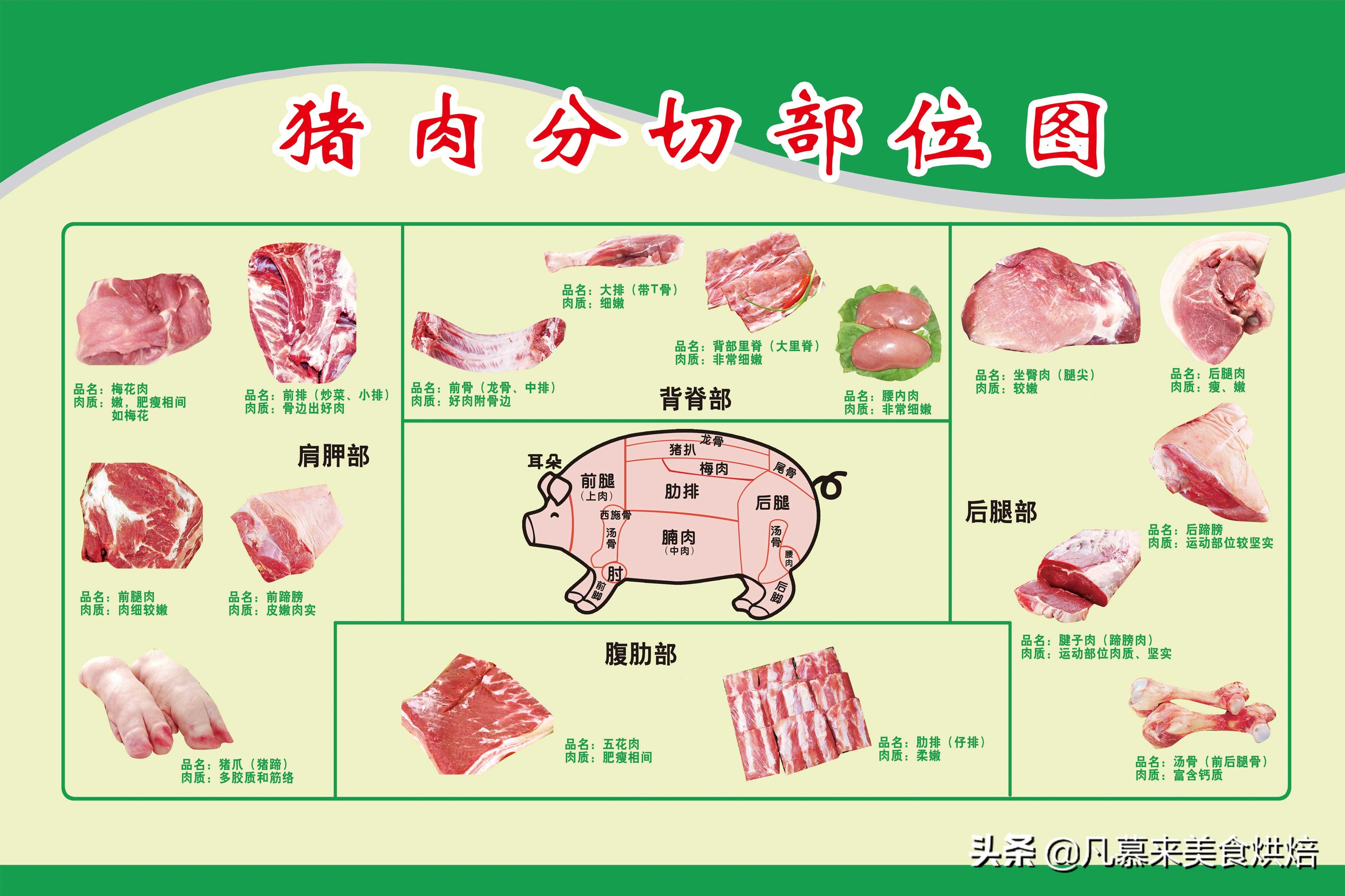 猪肉分割图以及各部分特点及用途