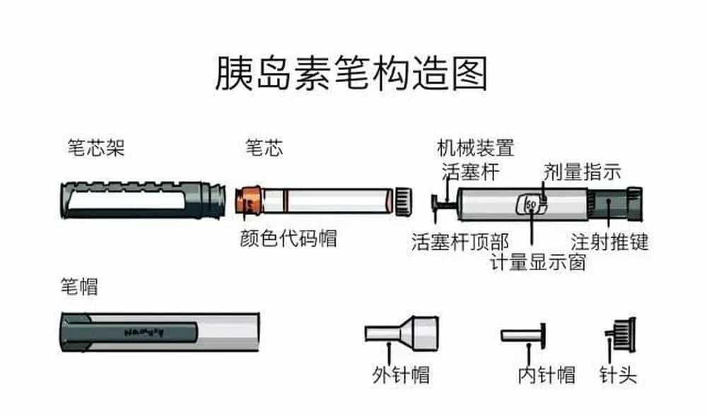 胰岛素注射笔安装图片