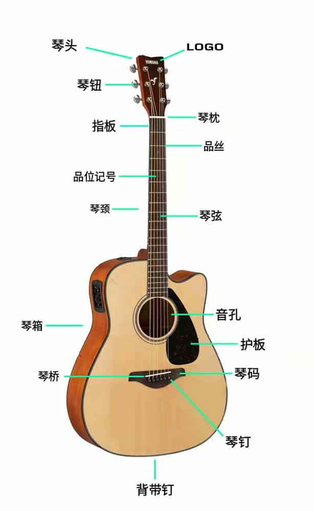 因为不知道吉他各个部位的名称被同学欺凌!(超基础知识)