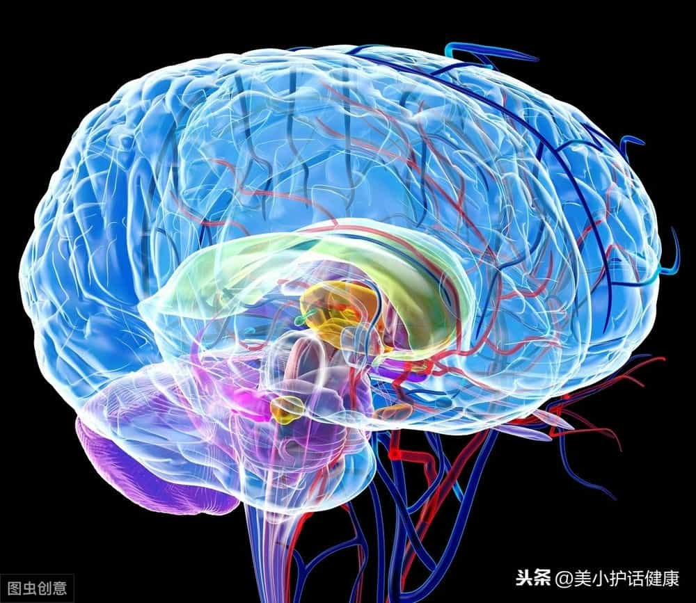 面對老年痴呆症我們能做些什麼老年痴呆手機裡做什麼好