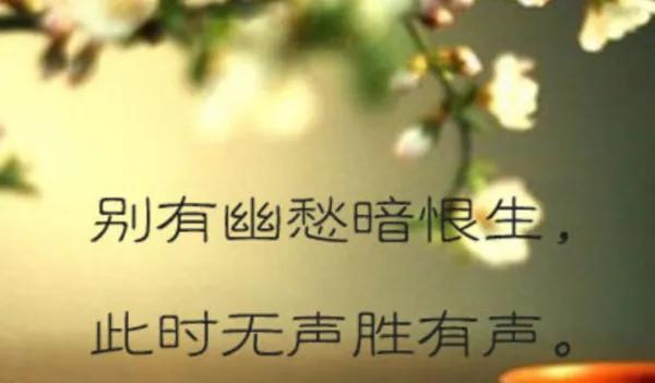 别有幽愁暗恨生,此时无声胜有声